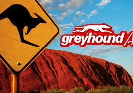 Greyhound-Australia