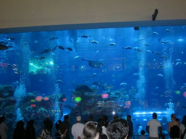 aquarium dubai