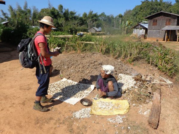 trek inle