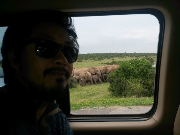 addo elephant park